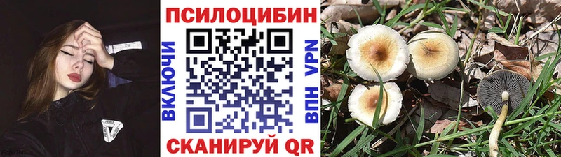 Галлюциногенные грибы Psilocybine cubensis  Купить закладки  Протвино 