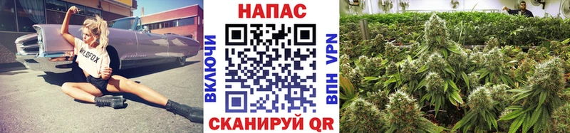 Марихуана семена  Купить  Протвино 